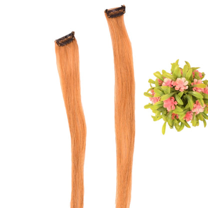 Hair extensions with a decorative plant on a white background